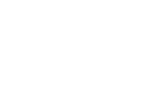 visie_oog